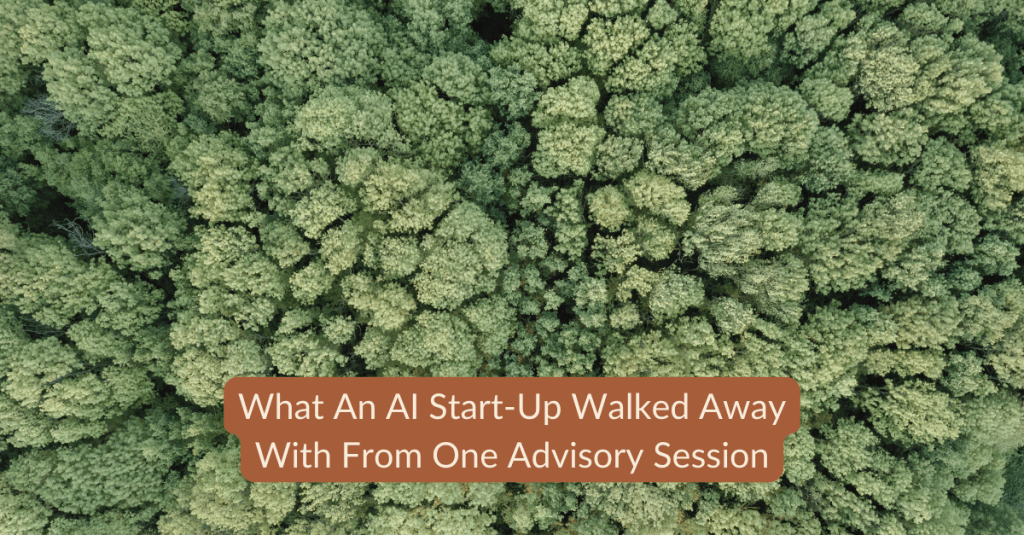 Advising AI Start-Ups: From Product Validation to Founder Alignment